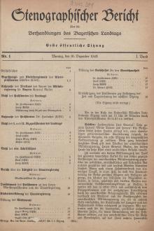 Stenografischer Bericht